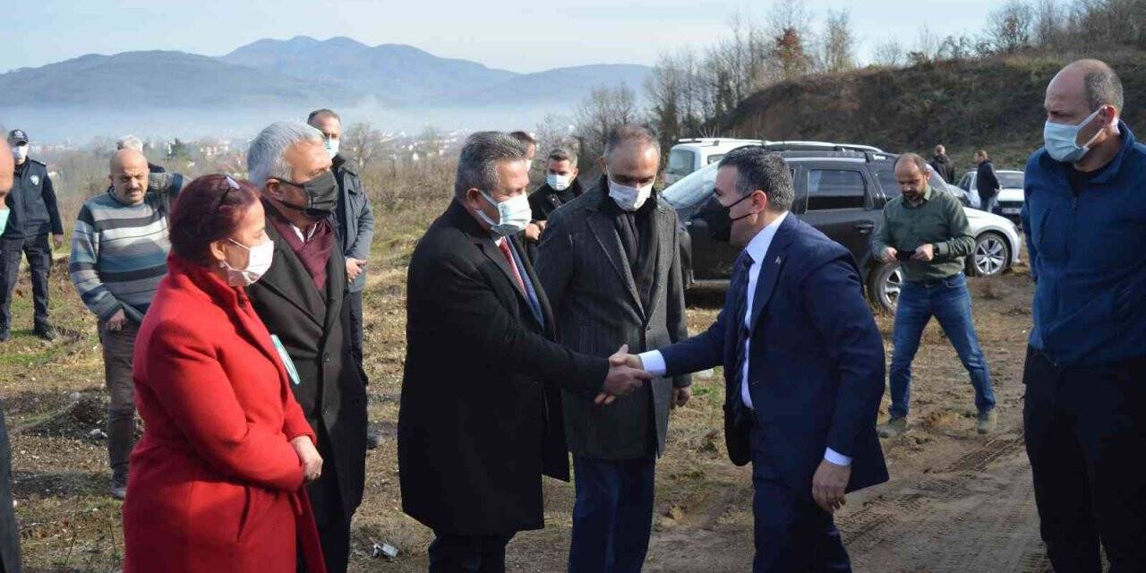 Cumayeri’ne sokak hayvanları bakımevi kuruluyor