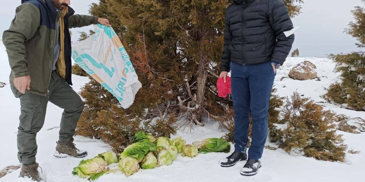 Bingöl’de yaban hayvanları için doğaya yem bırakıldı