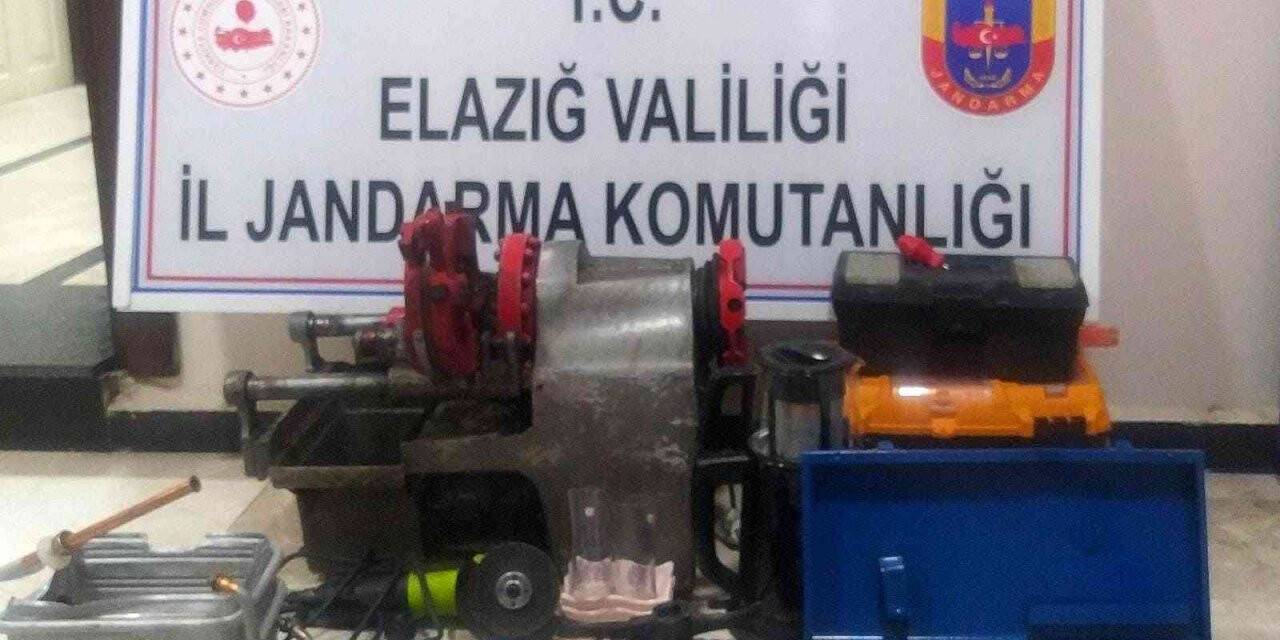 Jandarma tarafından suçüstü yapılan 5 hırsız, gözaltına alındı
