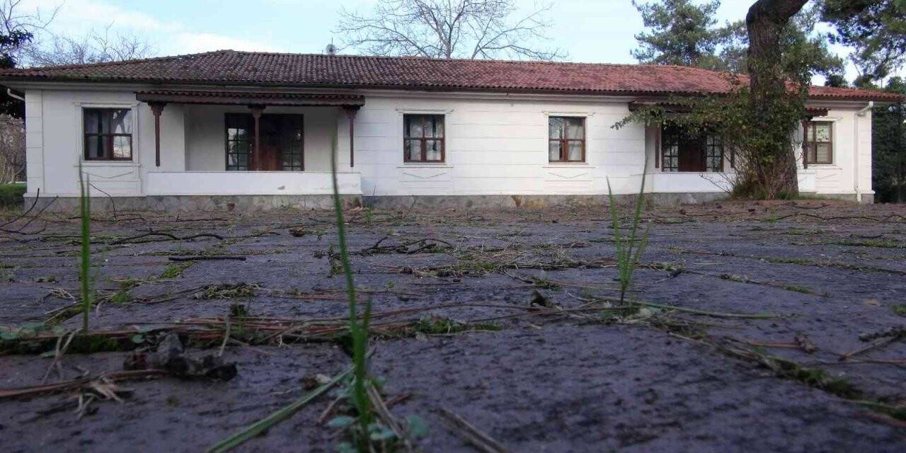 Osmanlı İmparatorluğuna sığınan Macar kralının sır dolu serüveni