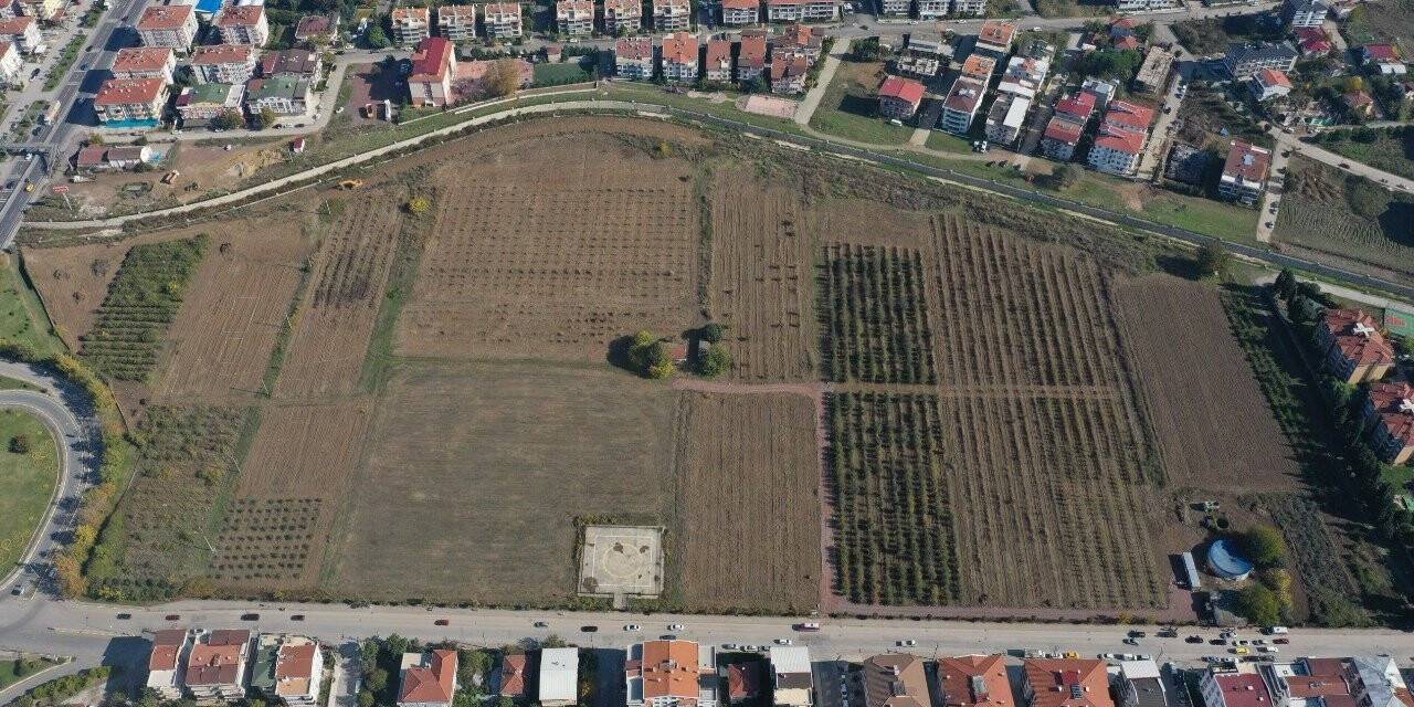 Türkiye’nin ilk “meyve” temalı millet bahçesi Yalova’da yapılıyor