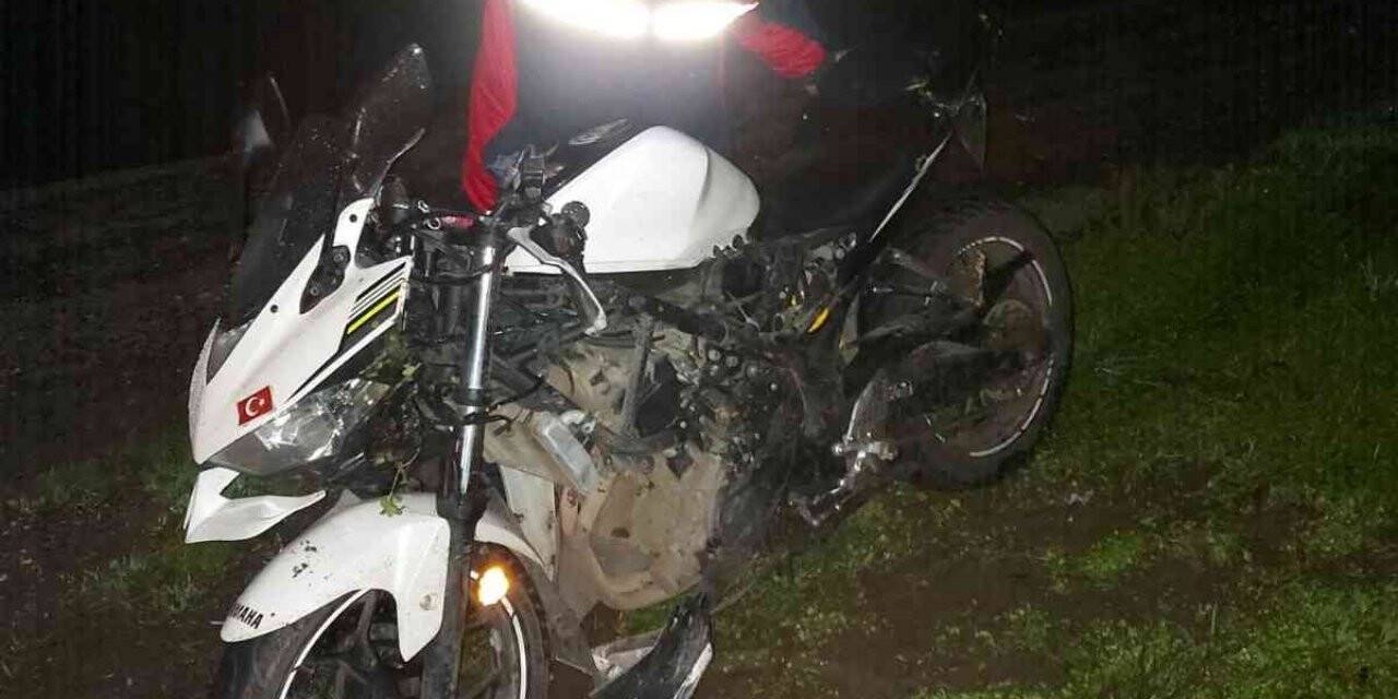 Yola çıkan köpek kazaya sebep oldu: 1 yaralı