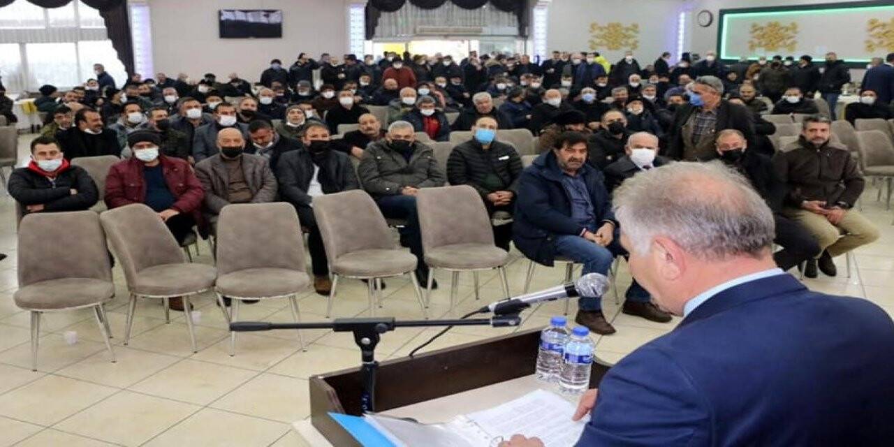 Limon güven tazeledi