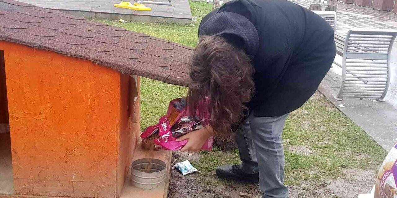 Öğrenciler sokak hayvanlarını besledi