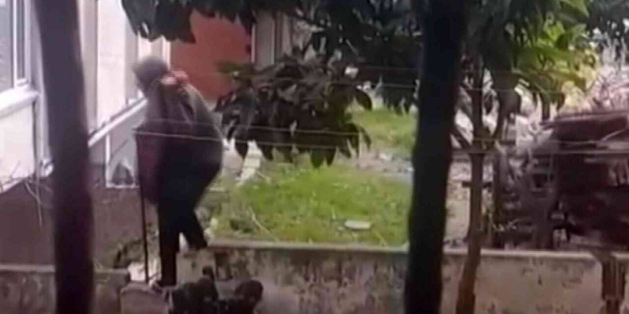 Avcılar’da kentsel dönüşüm hırsızları kamerada