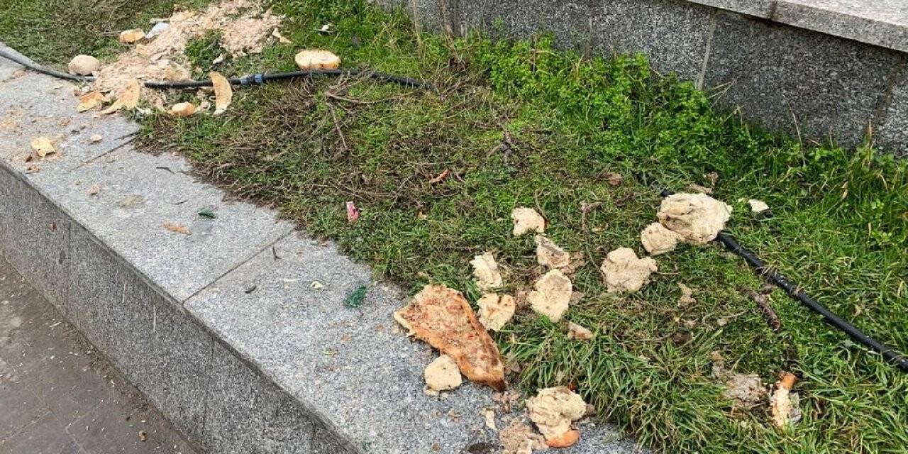 Hem çevre kirliliği oluşturuyor hem de hayvan sağlığını tehdit ediyor