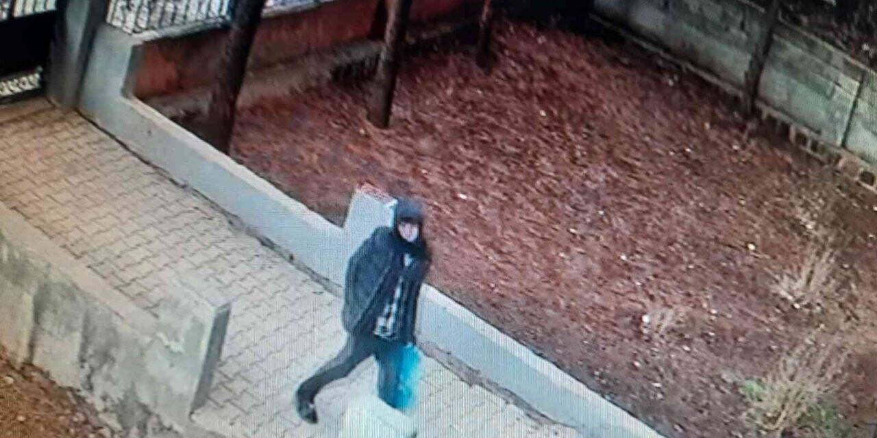 Siverek’te bisiklet hırsızlığı saniye saniye güvenlik kamerasına yansıdı
