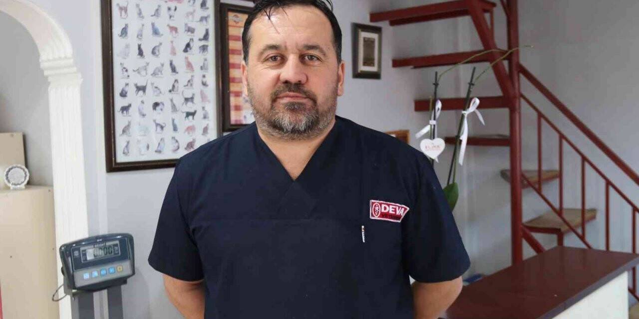 Tehlikeli köpek ırkları