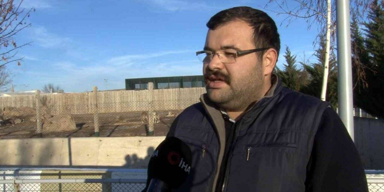 Sıcak iklim hayvanlarına özel bakım