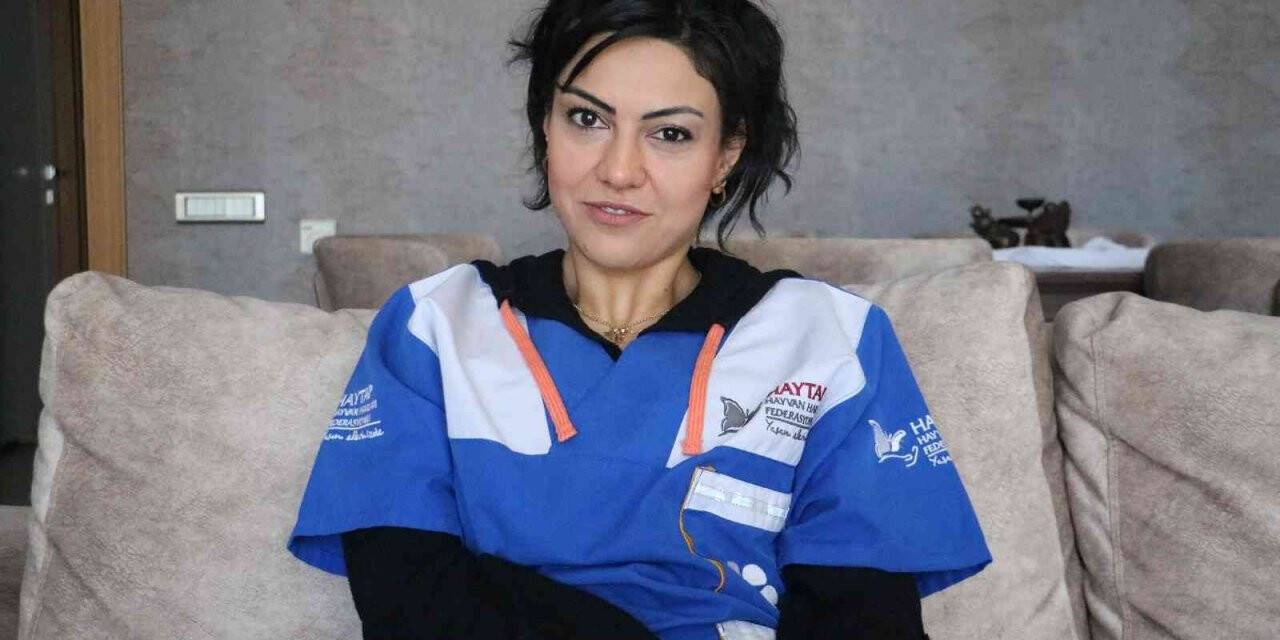 Cezadan korkan pitbull köpeklerini sokağa salıyor