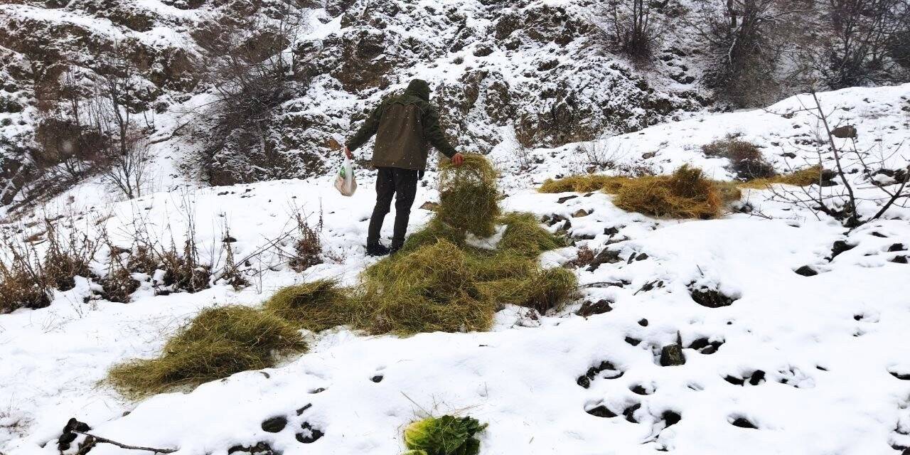 Bingöl’de yaban hayvanları için doğaya yem bırakıldı