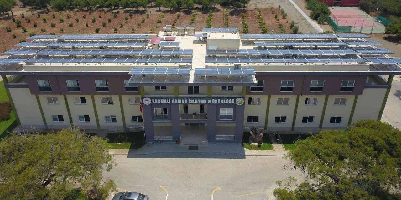 Mersin Orman Bölge Müdürlüğünde hedefler aşıldı