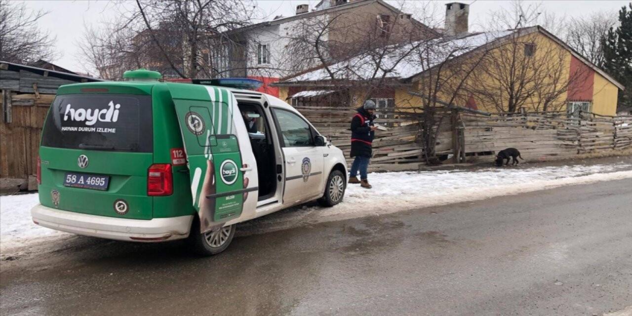 Sivas'ta okul çevresinde pitbull dolaştıran kişiye 14 bin 982 lira ceza