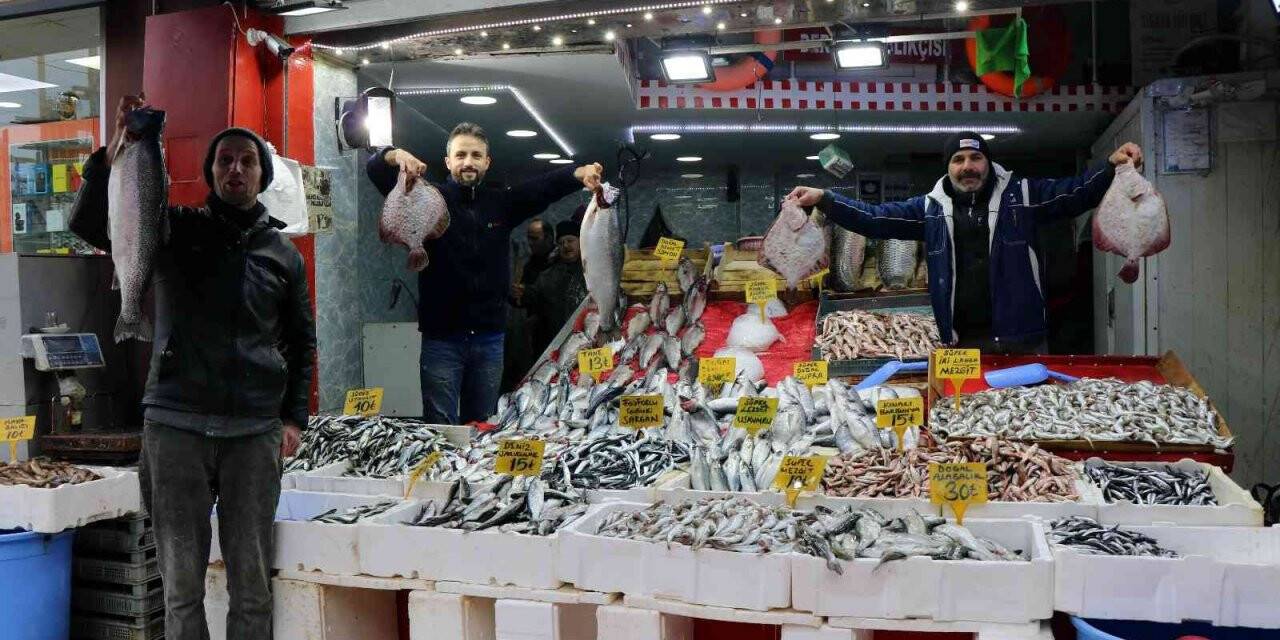 Karadeniz’de en ucuz balığın kilosu 10, en pahalı balığın kilosu 250 TL