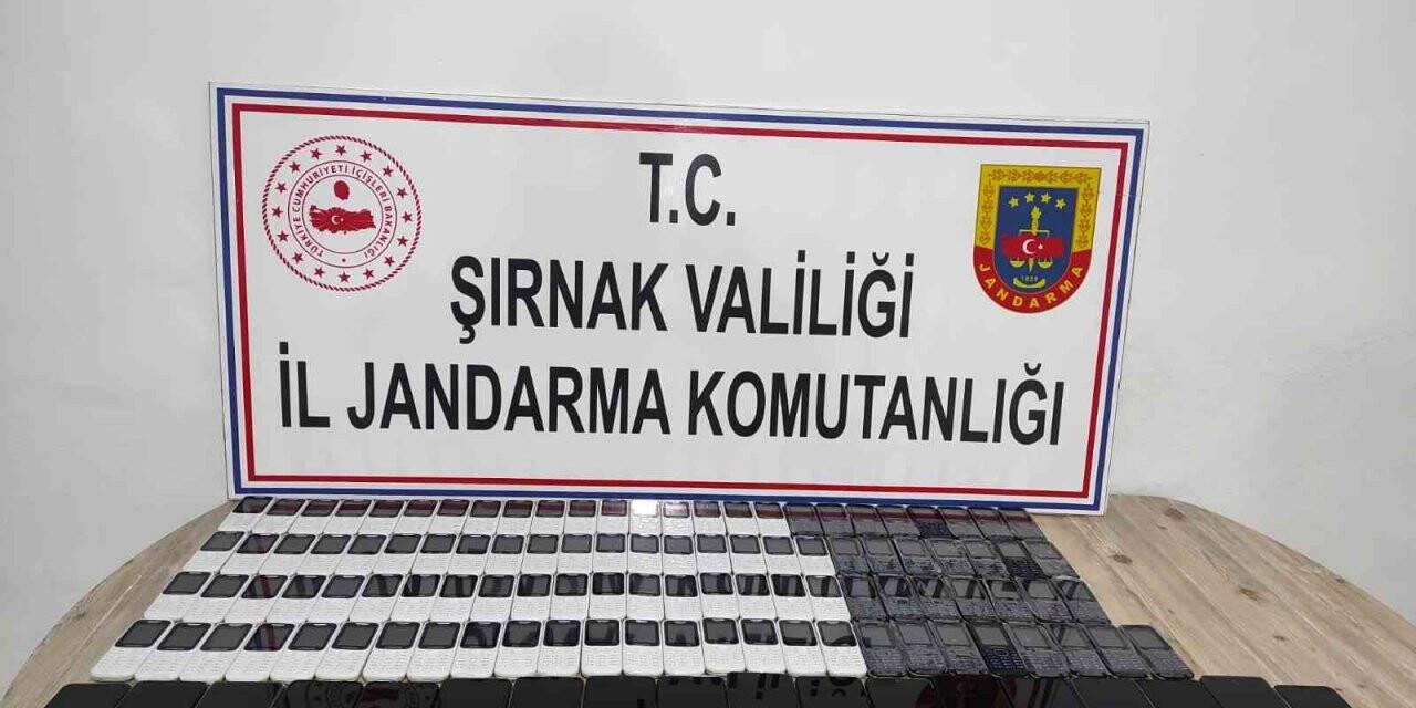 Şırnak’ta kaçakçılık operasyonu: 49 gözaltı