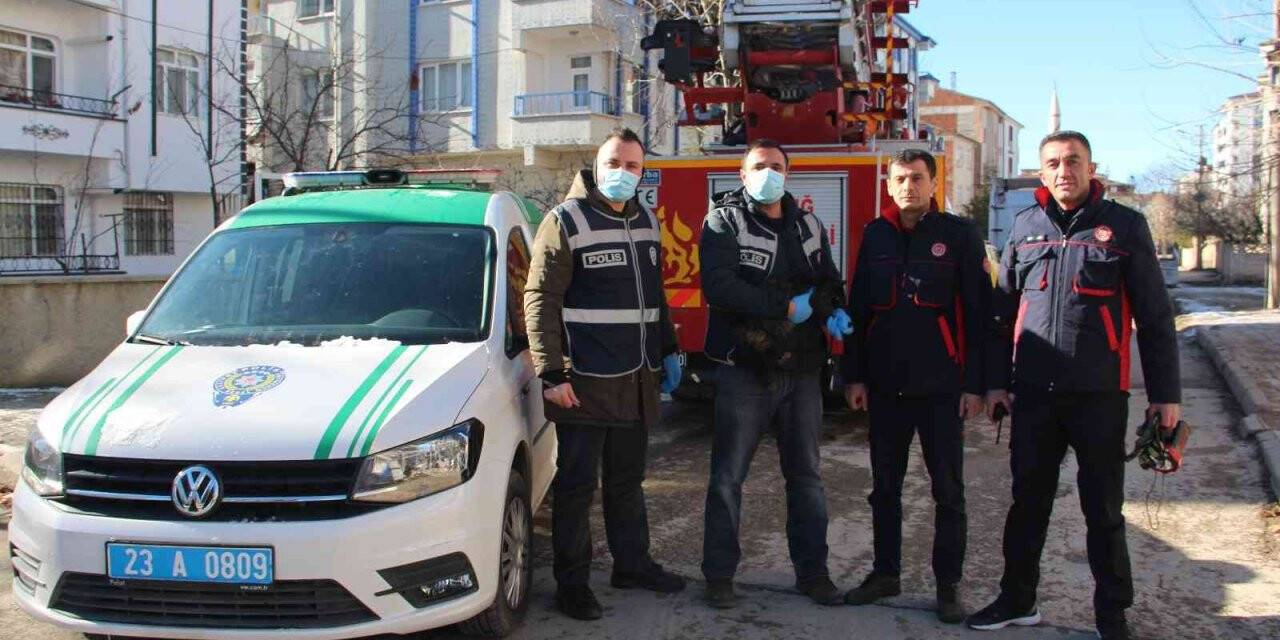 Elazığ’da çatıda mahsur kalan kedi için HAYDİ ve itfaiye ekipleri seferber oldu