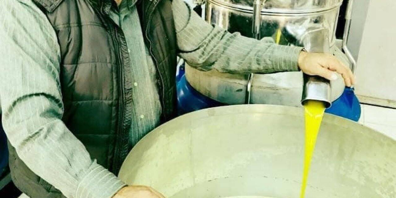 Ziraat Odası Başkanı Diker: “Pet şişelerde, markasız, isimsiz zeytin yağı almayın”