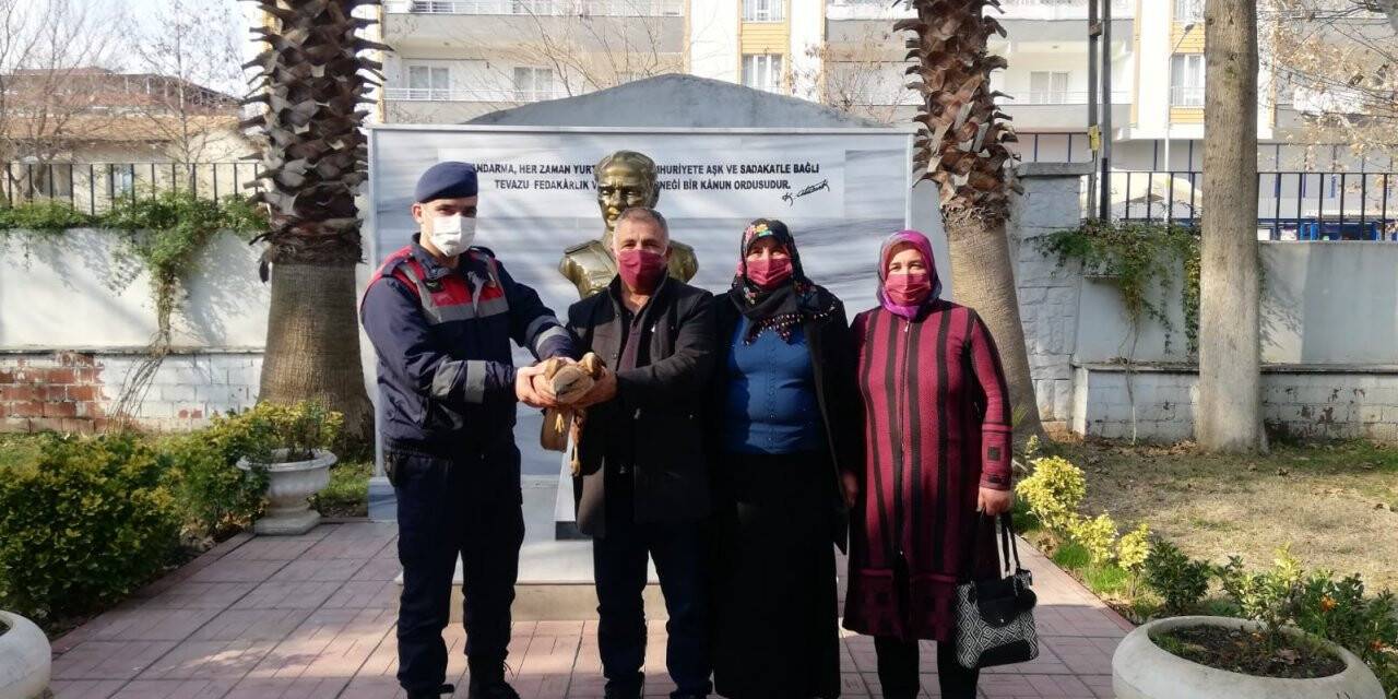 Yaralı bulunan şahin tedavi altına alındı