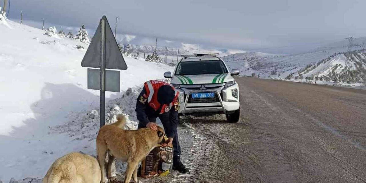 Jandarmada ekipleri hayvanları unutmadı