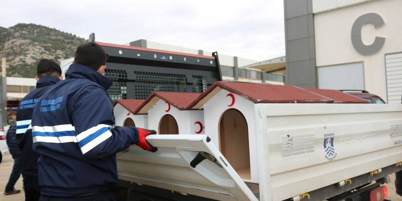 Sokak hayvanları için proje ürettiler
