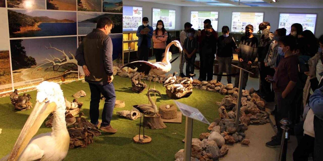 Doğanın savunucuları, gençlere yol göstermeye devam ediyor