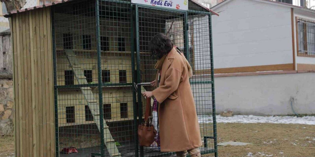 Kedileri Sivas’ın ayazından bu kulübeler koruyacak