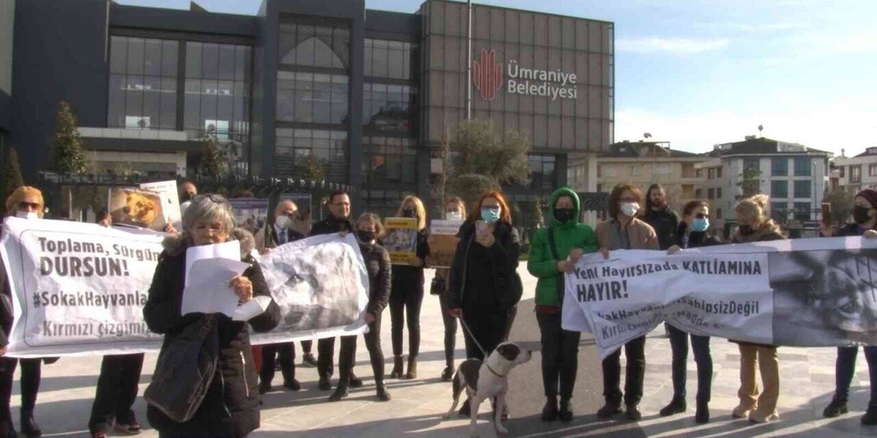 Ümraniye Belediyesi önünde hayvan hakları eylemi