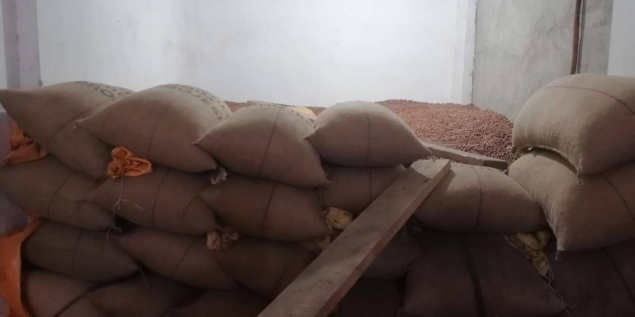 Fındık fiyatı yeni yıla artışla başladı