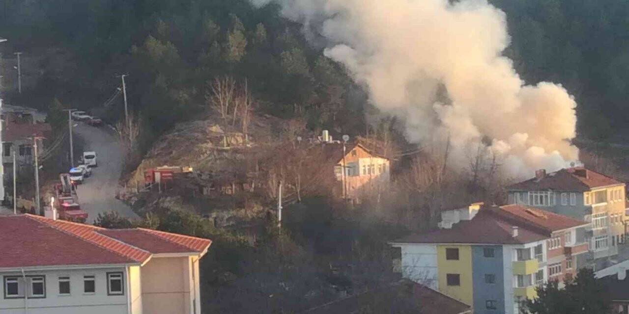 Tek katlı ev alevlere teslim oldu