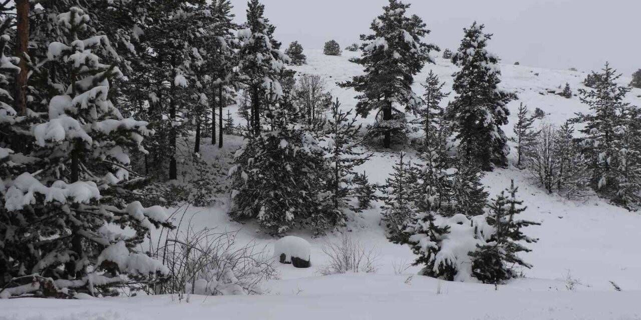 Havalar ısınıyor, kar erimesi ve çığ riskine dikkat!