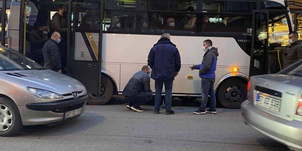 Yolcular kediyi fark etti, otobüs cadde ortasında durduruldu