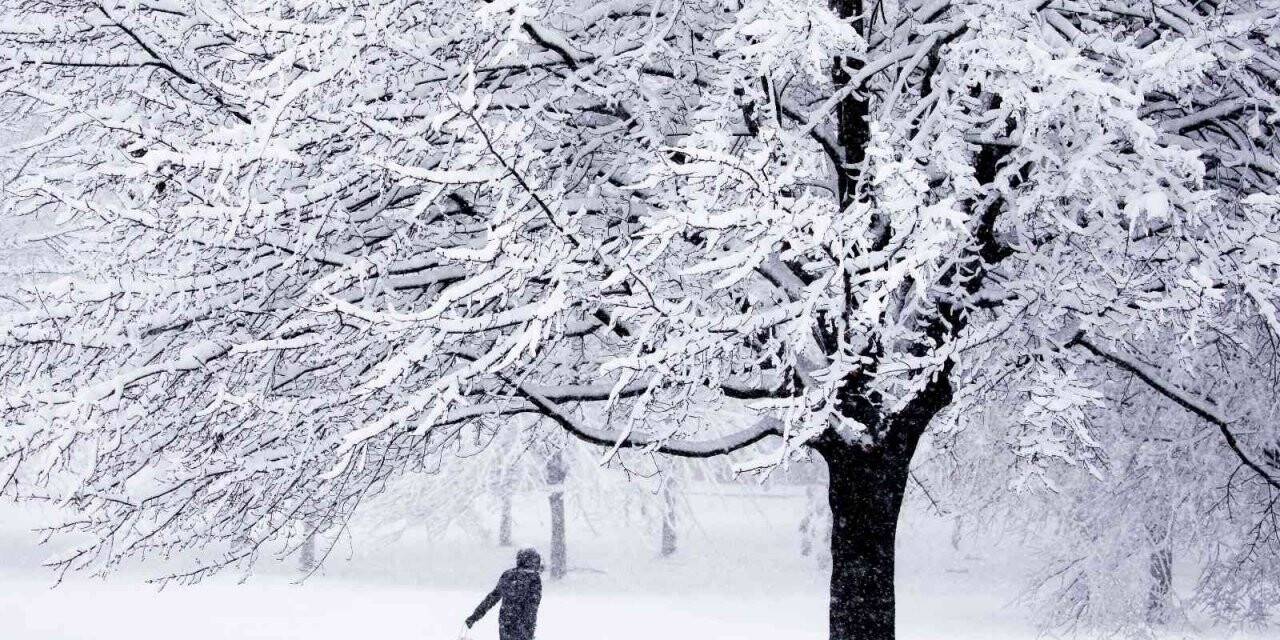 Washington DC’ye yılın ilk karı düştü
