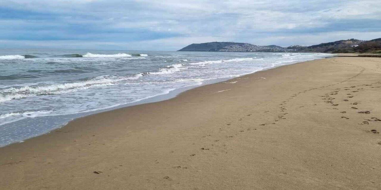 Başkan Ayhan: “Boğulmalara karşı gerekli önlemleri alacağız”