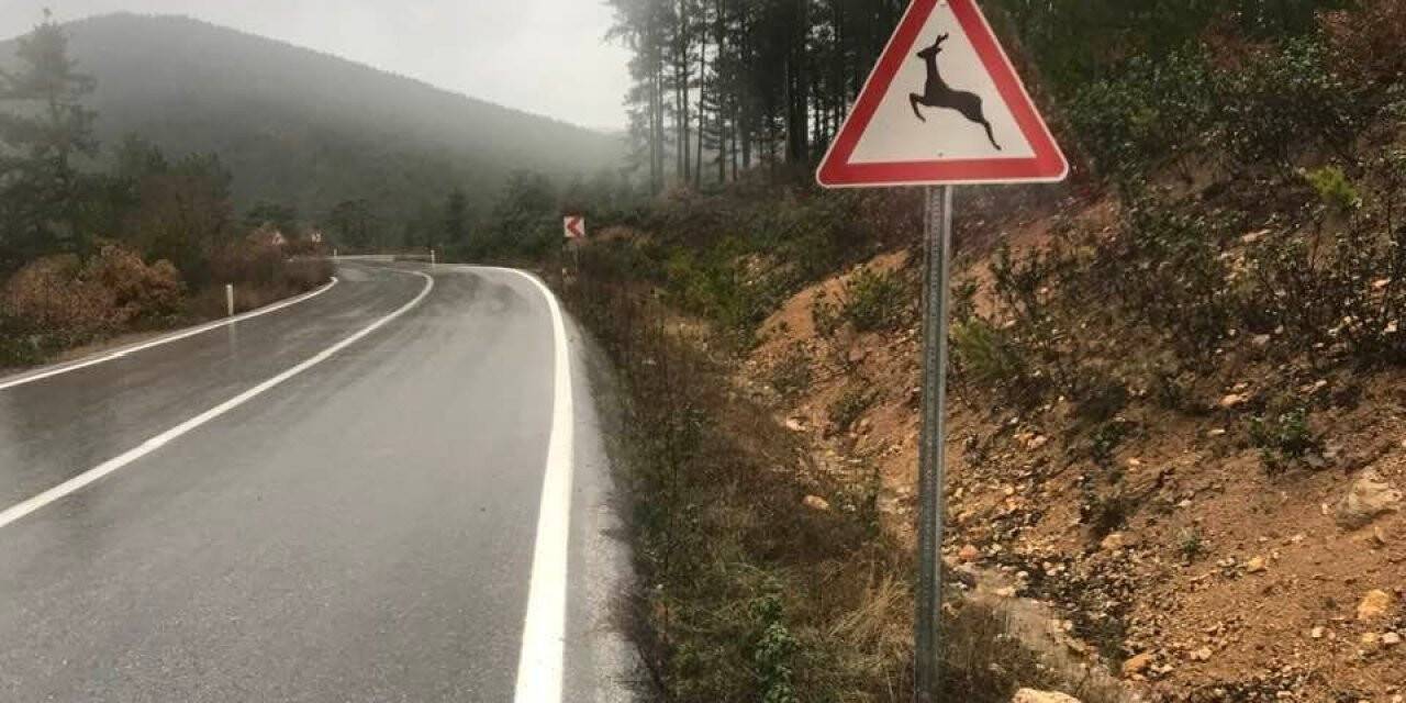 Yaban hayatı geliştirme sahasına ’Karaca çıkabilir’ levhası