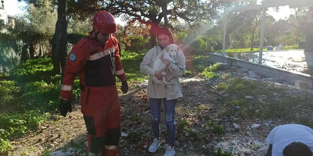 Kuyuya düşen köpek için seferber oldular