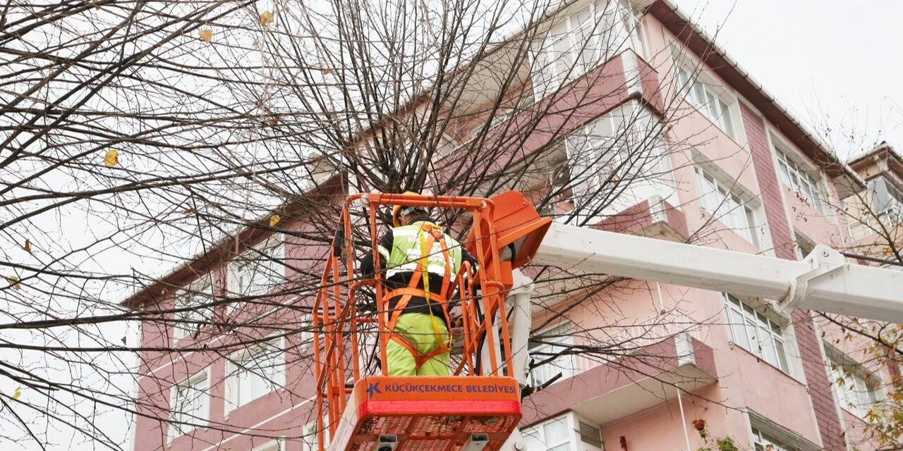Küçükçekmece’de budanan ağaç dalları evleri ısıtıyor