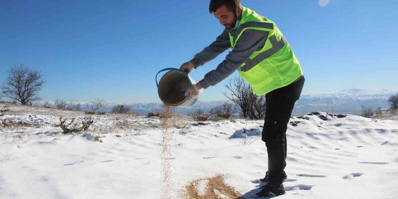Elazığ’da sokak ve yaban hayvanları için 90 farklı noktaya yem bırakıldı