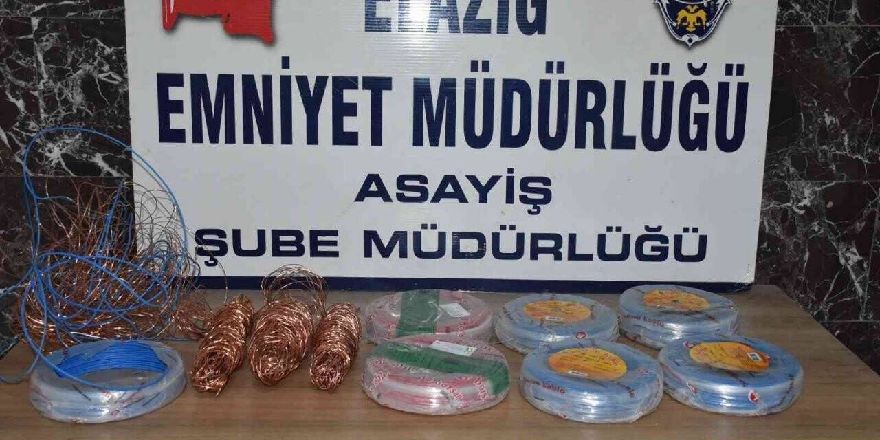 Elazığ’da 21 suç kaydı bulunan 2 şüpheli, çaldıkları kabloları yakarken yakalandı