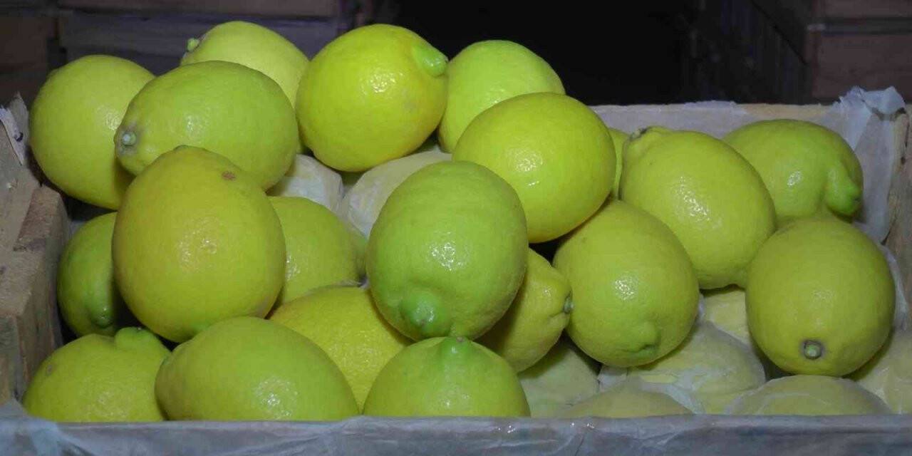 Kapadokya, Akdeniz bölgesinde yetiştirilen limona ’yataklık’ ediyor