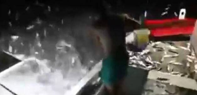 UyanıklıK mı avanaklık mı? VİDEO