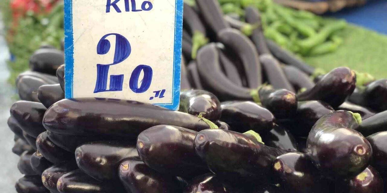 Antalya’da yaşanan fırtına seraları etkiledi, patlıcan 20 lira oldu