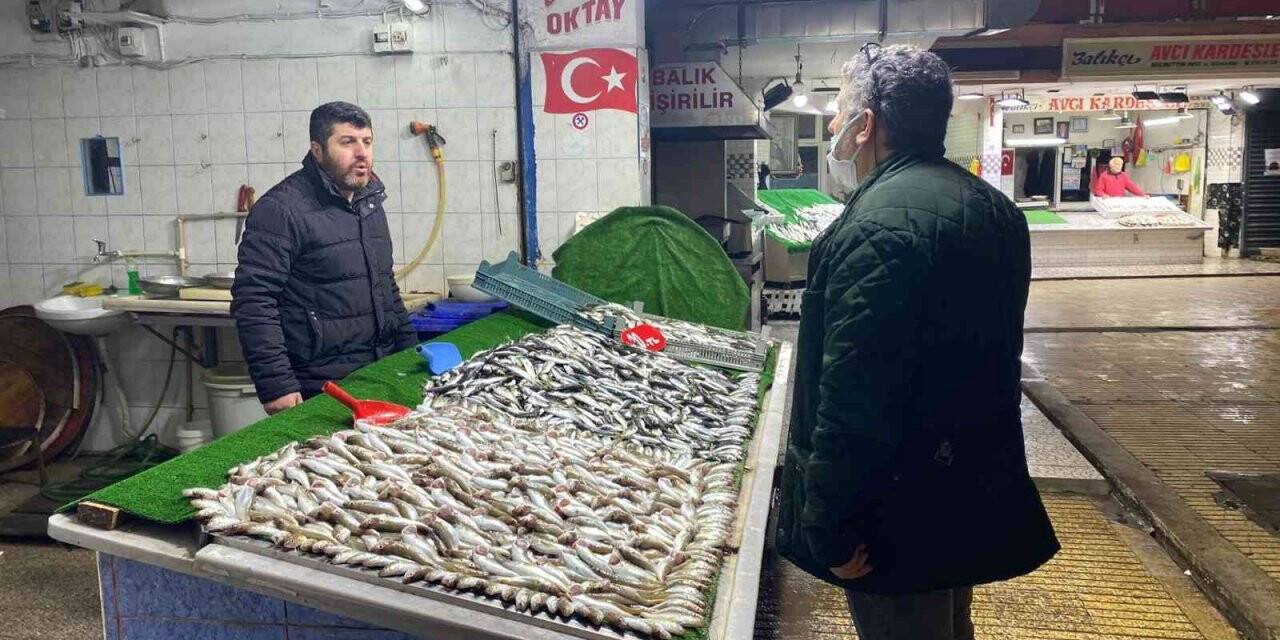 İstavrit yoğunluğu balıkçıların yüzünü güldürdü
