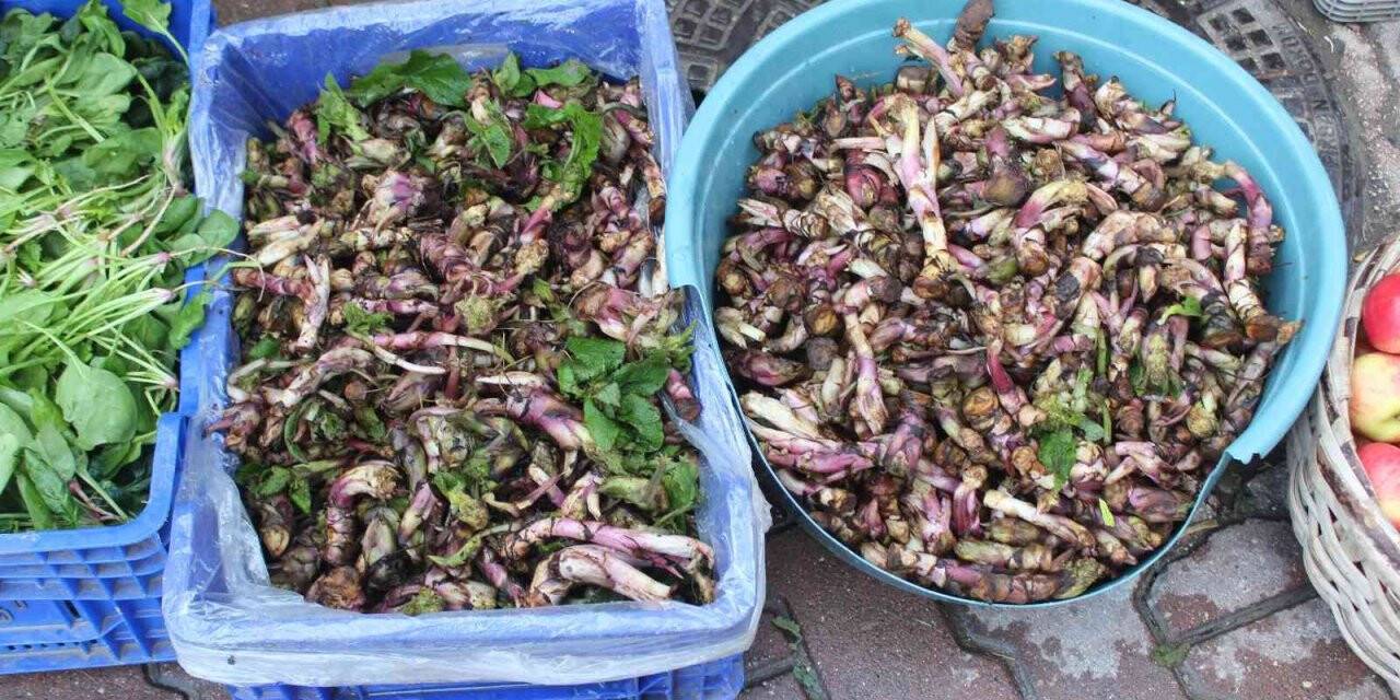 Kaldirik otu pazarda yerini aldı