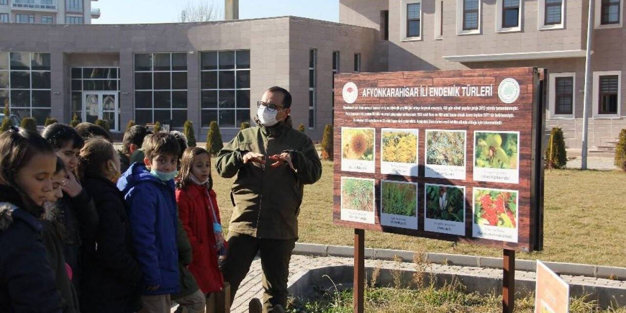 Öğrenciler endemik bitkileri merkezinde öğrendi