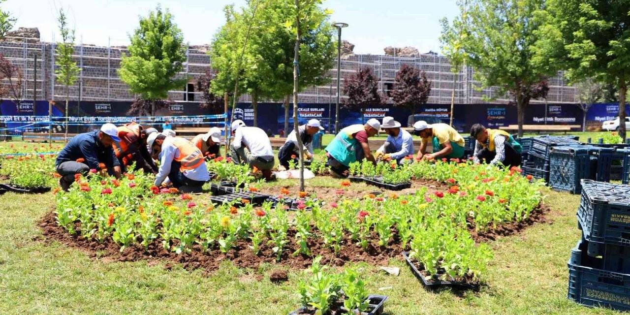 Diyarbakır 2021’de 3 milyon 500 bin mevsimlik çiçekle süslendi