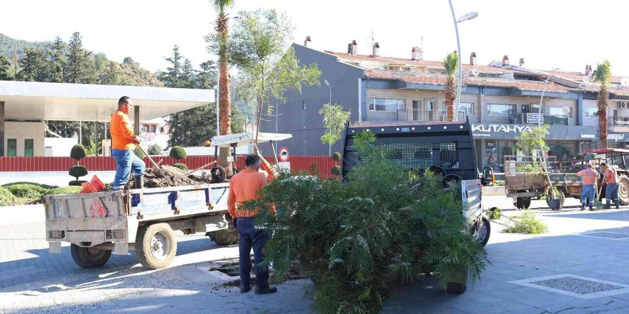 Marmaris’in kaldırımları yemyeşil oluyor