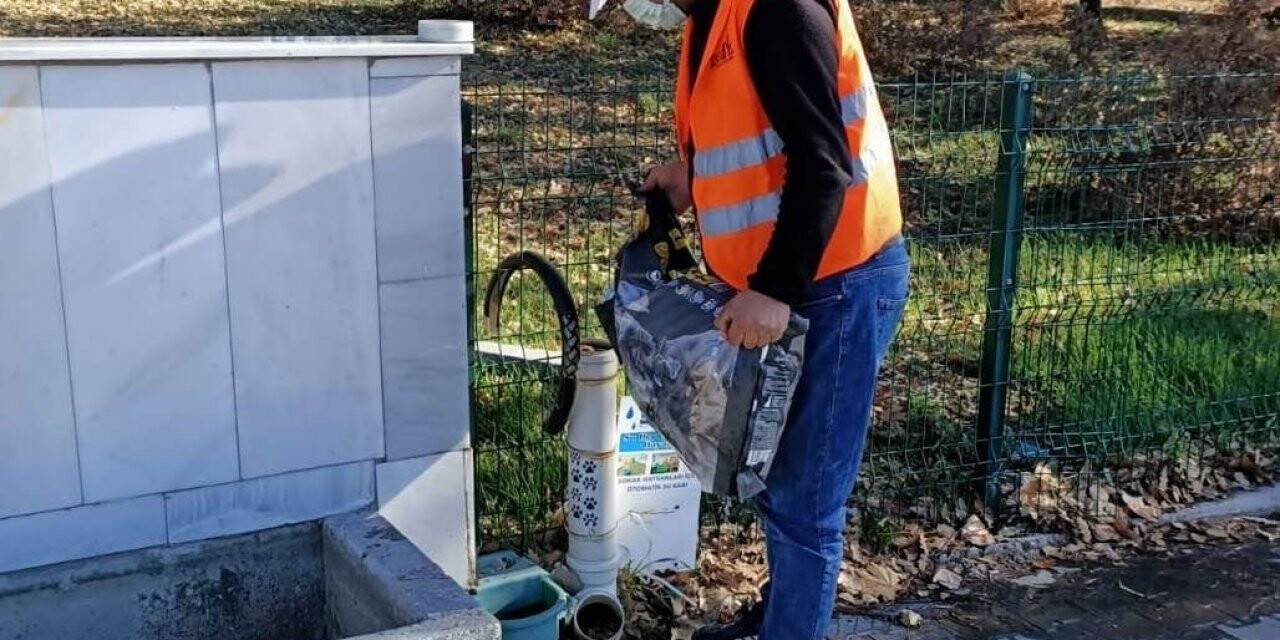 Gediz’de sokak hayvanları unutulmadı