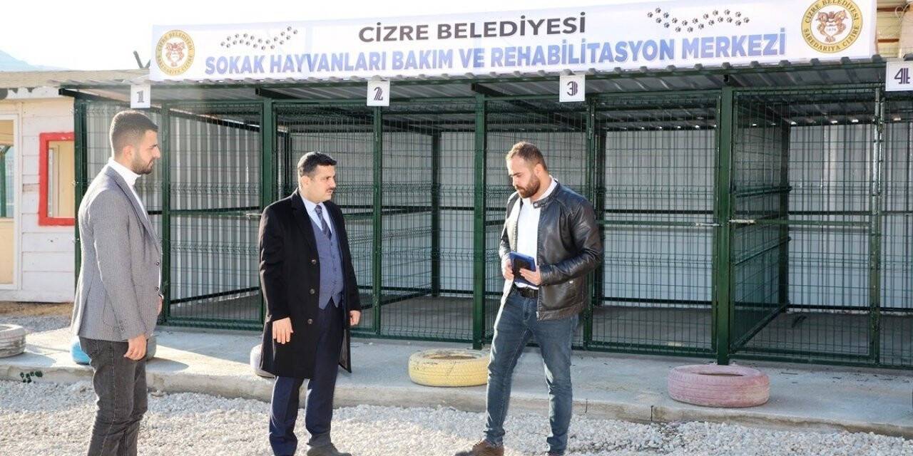 Cizre Belediyesinden sahipsiz hayvanlar için geçici bakımevi