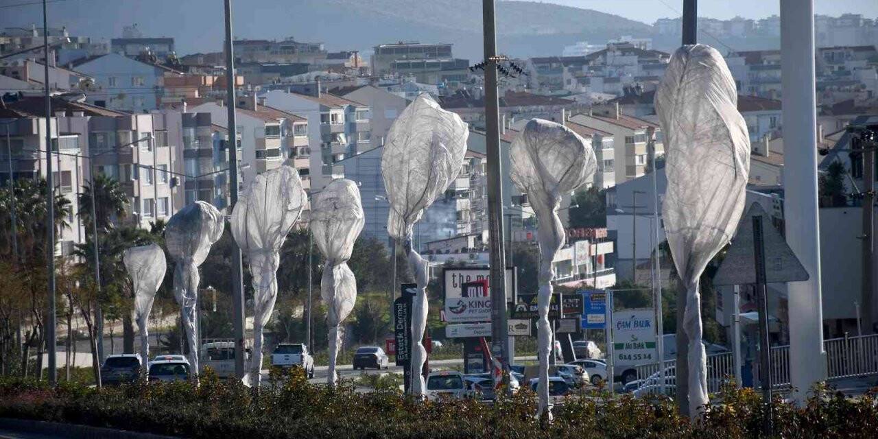 Kuşadası’nda ağaçlara özel koruma