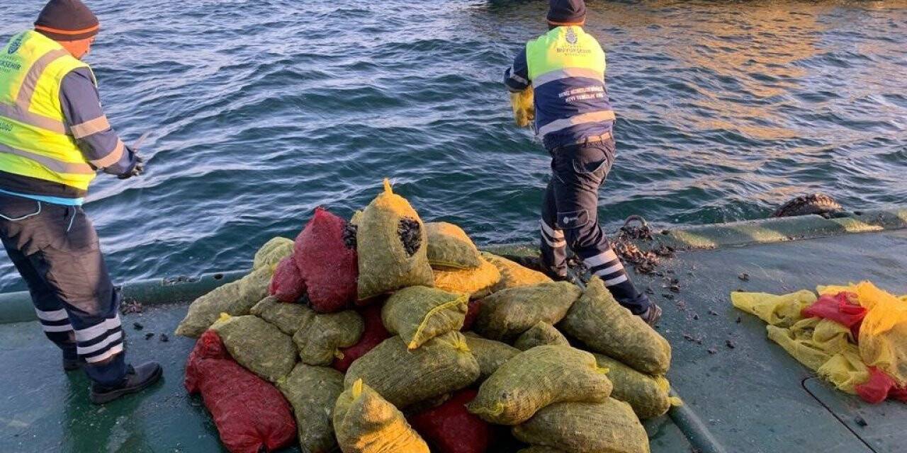 Bayrampaşa Hali’nde 5 ton kaçak midye ele geçirildi: Canlı midyeler denize bırakıldı